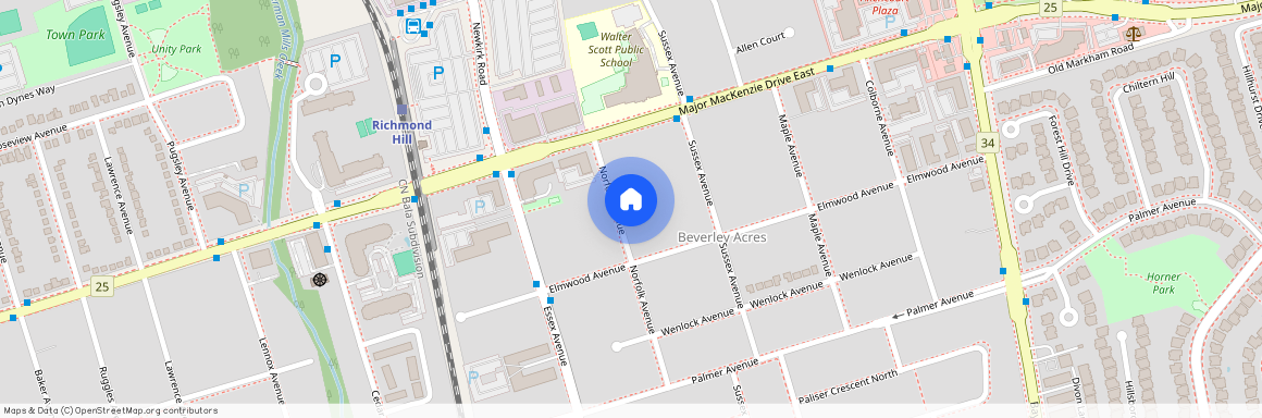 173 Norfolk Avenue Unit# Main, Richmond Hill