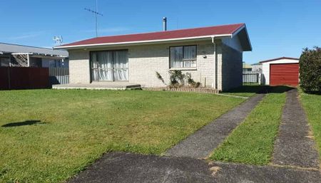 TE AWAMUTU - 2 BEDROOMS - Photo 4