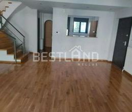 Μονοκατοικία για ενοικίαση - Δροσιά - Photo 4