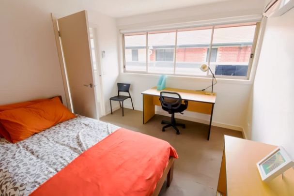 Large 1 Bedroom style 1 - Photo 1