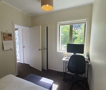 1BR Flat in Wadestown/Wilton - Photo 5