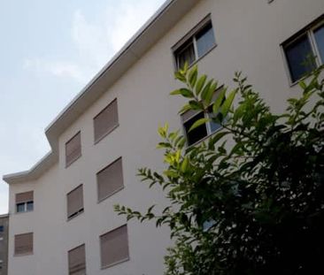 1 Zimmer, 53 m², 1. Stock - Foto 5