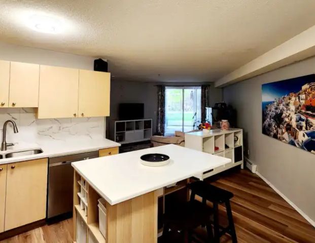 Bright 1 Bed 1 Bath Condo for Rent | 2106 - 2280 68 Street Northeast, Calgary - Photo 1