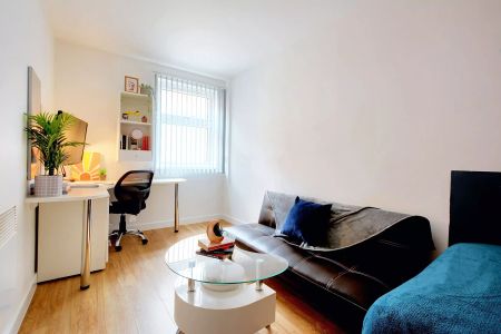 Studio Bronze Plus - Photo 3