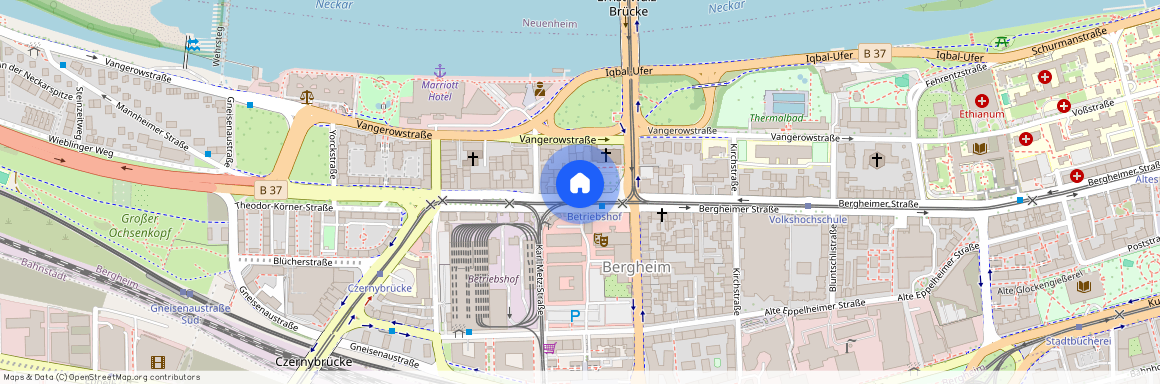 Bergheimer Straße 112, 69115 Baden-Württemberg - Heidelberg