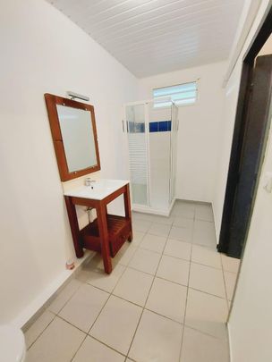 Location Appartement 1 pièce 25m² REMIRE MONTJOLY 97354 - Photo 1