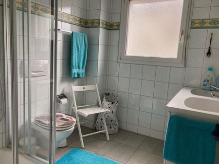 APPARTEMENT DE 2 PIÈCES À STEIN (AG), MEUBLÉ, TEMPORAIRE - Photo 5