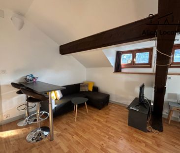 Location Appartement 2 pièces 30m² EVIAN LES BAINS 74500 - Photo 1