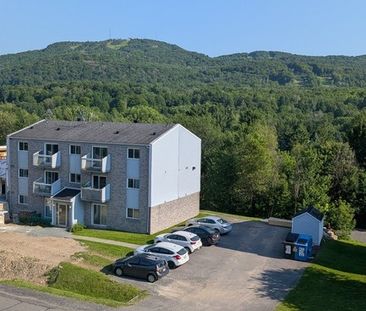 51/2 Bromont, Frig. Lave Remise Et Stati - Photo 3