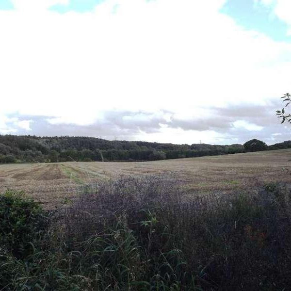 Farewell View, Langley Moor, Durham, DH7 - Photo 1