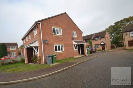 Snowberry Close, Taverham - Photo 4