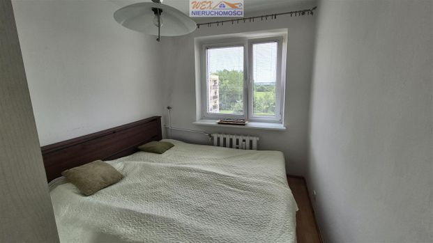 Mieszkanie Wynajem: Słupsk - Фото 1