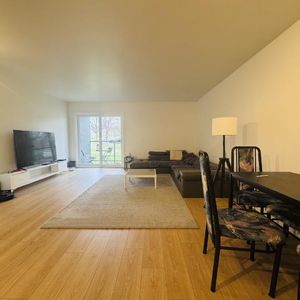 Appartement 4 ½ à louer Sainte-Foy / Sillery juillet 2026 - Photo 2