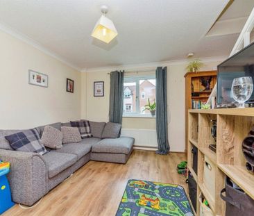 Blackthorn - Photo 1