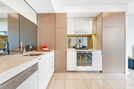 541/2C Defries Avenue, Zetland NSW 2017 - Apartment For Rent | Domain - Photo 3