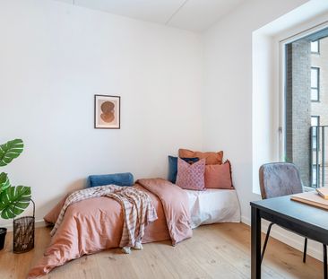 Stor 3 vær med terrasse - Foto 2