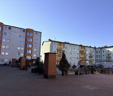 (Symbol 440099) - Zdjęcie 2