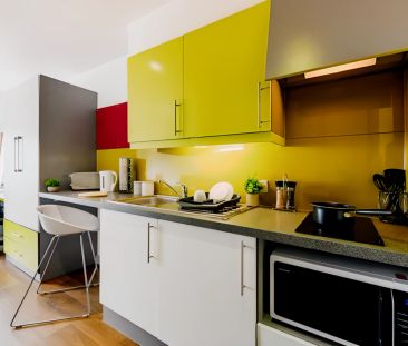 Studio Bronze Plus - Photo 2