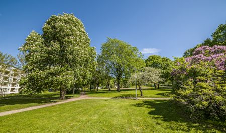 Apelgatan 15A, 75435, Uppsala - Photo 2