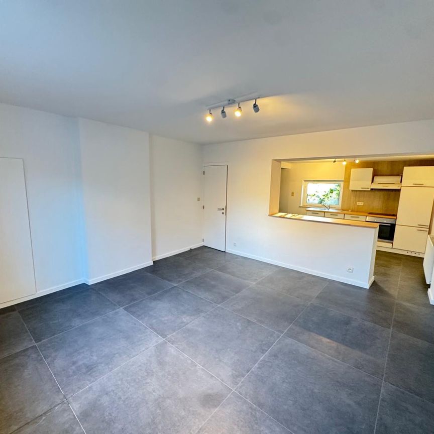 Petite Maison 2ch remise à neuf à 5060 Moignelée  Loyer: 750 € - Foto 1