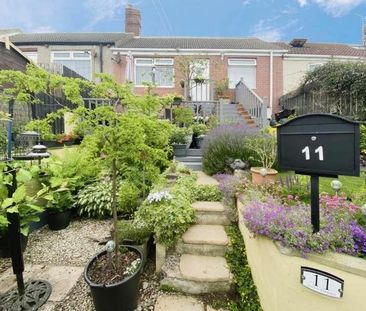 Angus Terrace, Peterlee, County Durham, SR8 - Photo 3