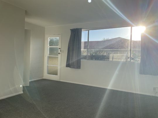 Renovated 2 bed near Upper Hutt CBD - Photo 1