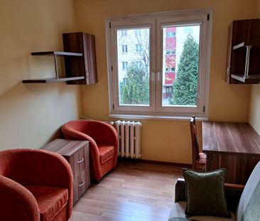 Pokój, ul. Witkacego - Photo 1