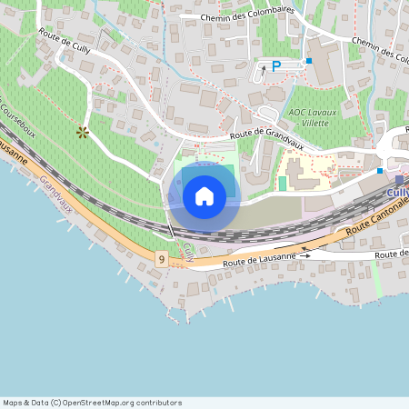 Chemin de Courseboux, 1096 Cully