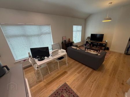 Apt 4, 45 Wellington Park, Belfast, BT9 6DN - Photo 4