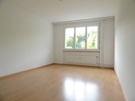 Living near the Aare - Photo 4