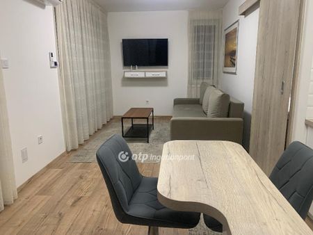 Kenézi Kórház, Hajdú-Bihar, 4031, Debrecen - Fotó 4