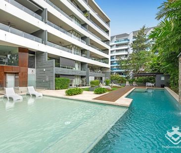 Resort Style 2-bedroom West End - Photo 5