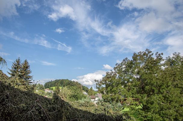 Gemütliche 2.5-Zi. Singlewohnung mit Balkon - Photo 1