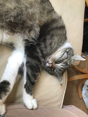 Sunnanväg, Lund - Photo 1