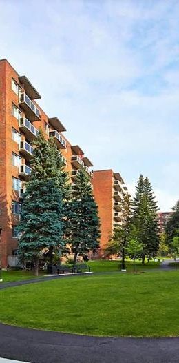 1 CH - 1 SDB - Gatineau - $1,295 /mo - Photo 1