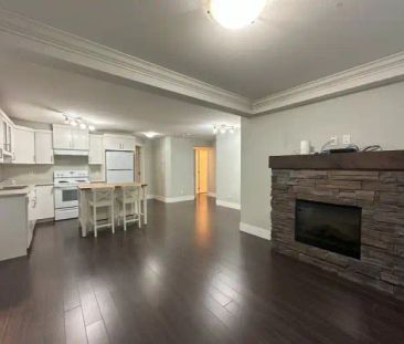 Legal basement suite in Coquitlam | 1330 Cooper Court, Coquitlam - Photo 1