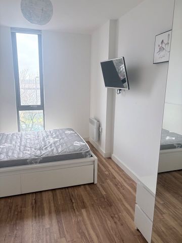 Room in a Shared Flat, Plaza Boulevard, L8 - Photo 4