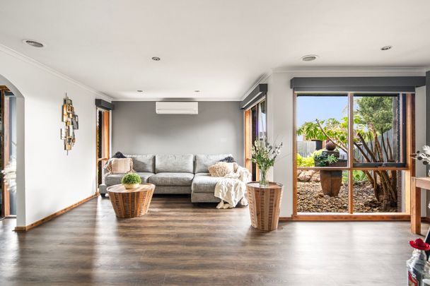 Everybody Needs A Snead! - Photo 1