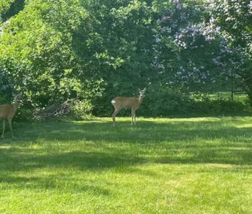 Dammtrappgatan, Enskede Gård - Photo 3