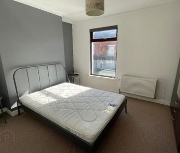 12 Halstein Drive, Ballyhackamore, Belfast, BT5 6JQ - Photo 6