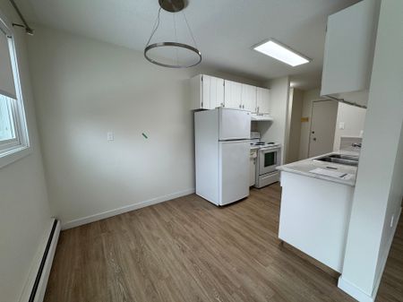 Updated 1 Bed Suite | Pet Friendly | In-Suite Laundry | Quiet Mature N - Photo 2