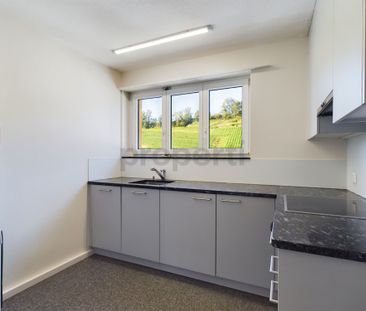 Luxurious 4-room apartment in Thal with a fantastic terrace - Foto 5