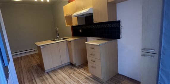 Villeray - Beau 2 1/2 Spacieux - Photo 2