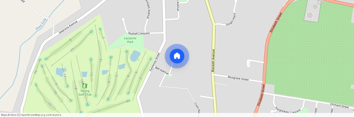 16 Crichton Crescent, Young, NSW 2594