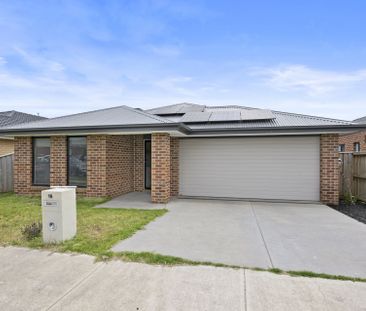 16 Dahlia Street, Bonshaw - Photo 1