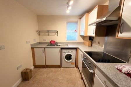 Orchid Drive - Photo 2