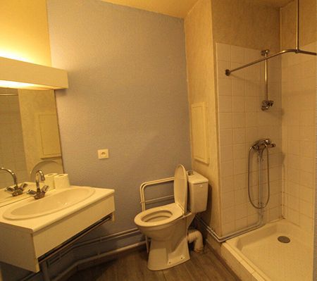 Location appartement 1 pièce 18.84 m² à Lille (59800) - Photo 3