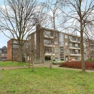 Lievenshof 1816 KJ Alkmaar - Photo 2
