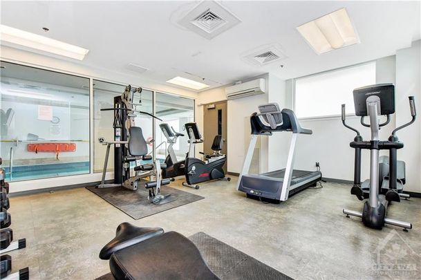 For Lease - 238 Besserer Street Unit# 307, Lower Town - Sandy Hill, Ontario - Photo 1