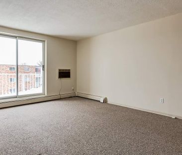 Premier Suite - 1 Bedroom - Photo 4